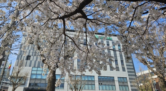 강릉영광문화회관